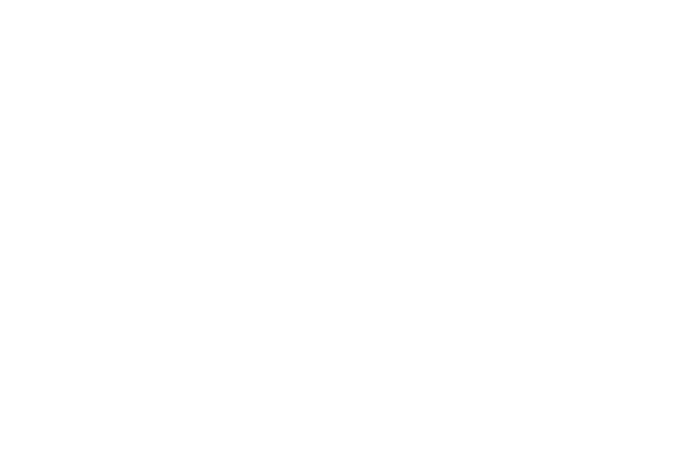 fenix