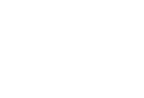 lemur-2